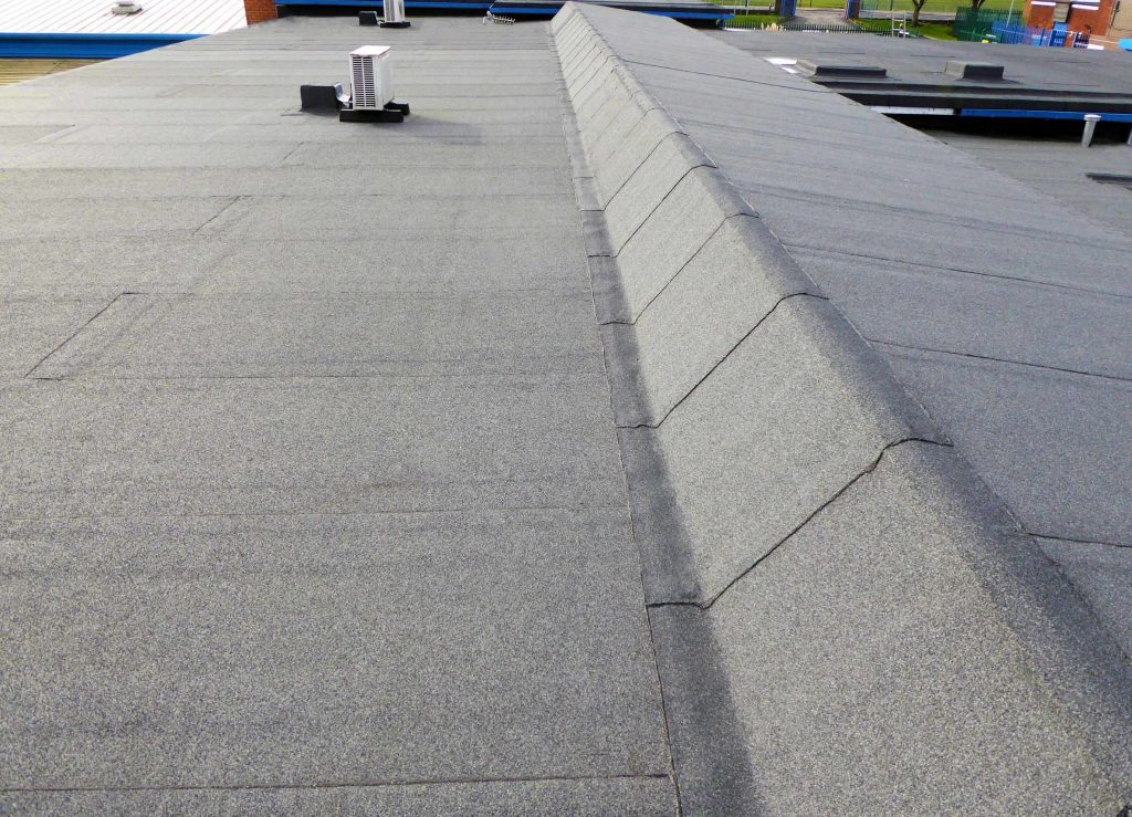 Roof 1